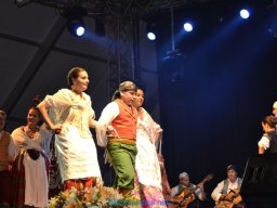 Festival de Folkore en Mula